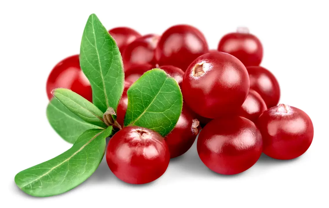 Cranberries in the capsules of Urosaf
