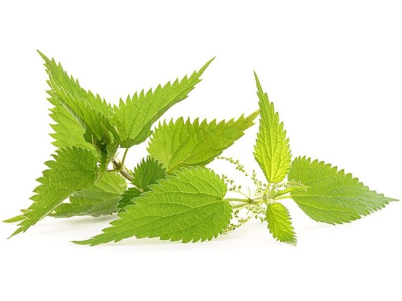 nettle in the capsules of Urosaf